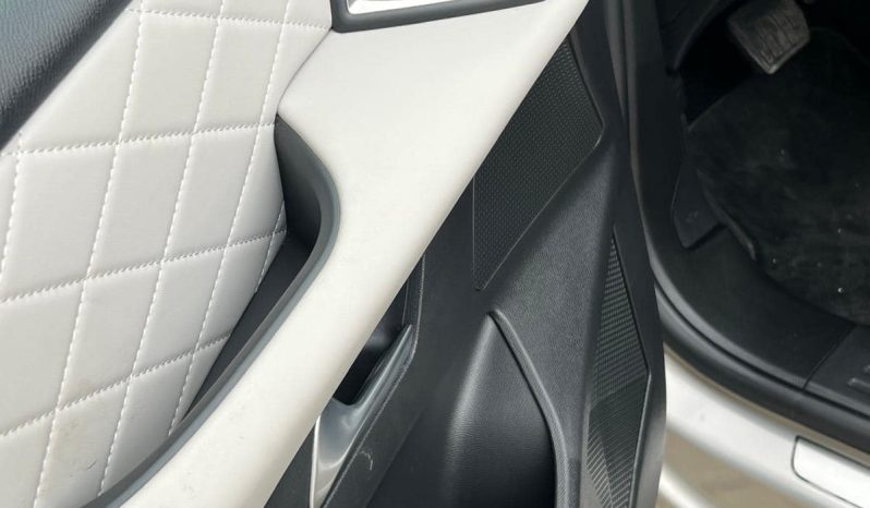 
								DS3 Electric 2021 full									