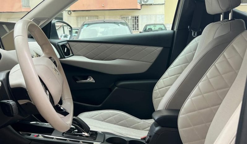 
								DS3 Electric 2021 full									