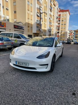 Tesla Model 3 2021