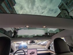 
										Tesla Model 3 Long Range Plus Dual Motor 2021 full									