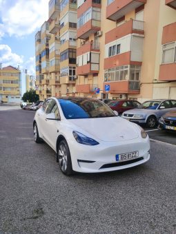 
										Tesla Model Y Long Range Plus Dual Motor full									