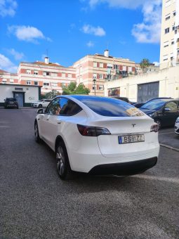 
										Tesla Model Y Long Range Plus Dual Motor full									