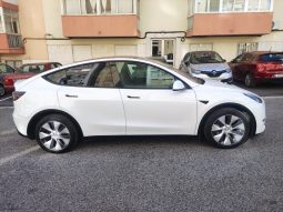 
										Tesla Model Y Long Range Plus Dual Motor full									