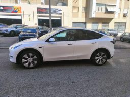 
										Tesla Model Y Long Range Plus Dual Motor full									